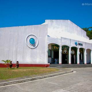 Southeast Asian Fisheries Development Center (SEAFDEC)