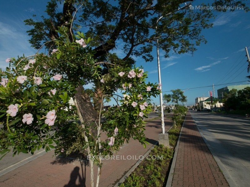 Iloilo City, Philippines